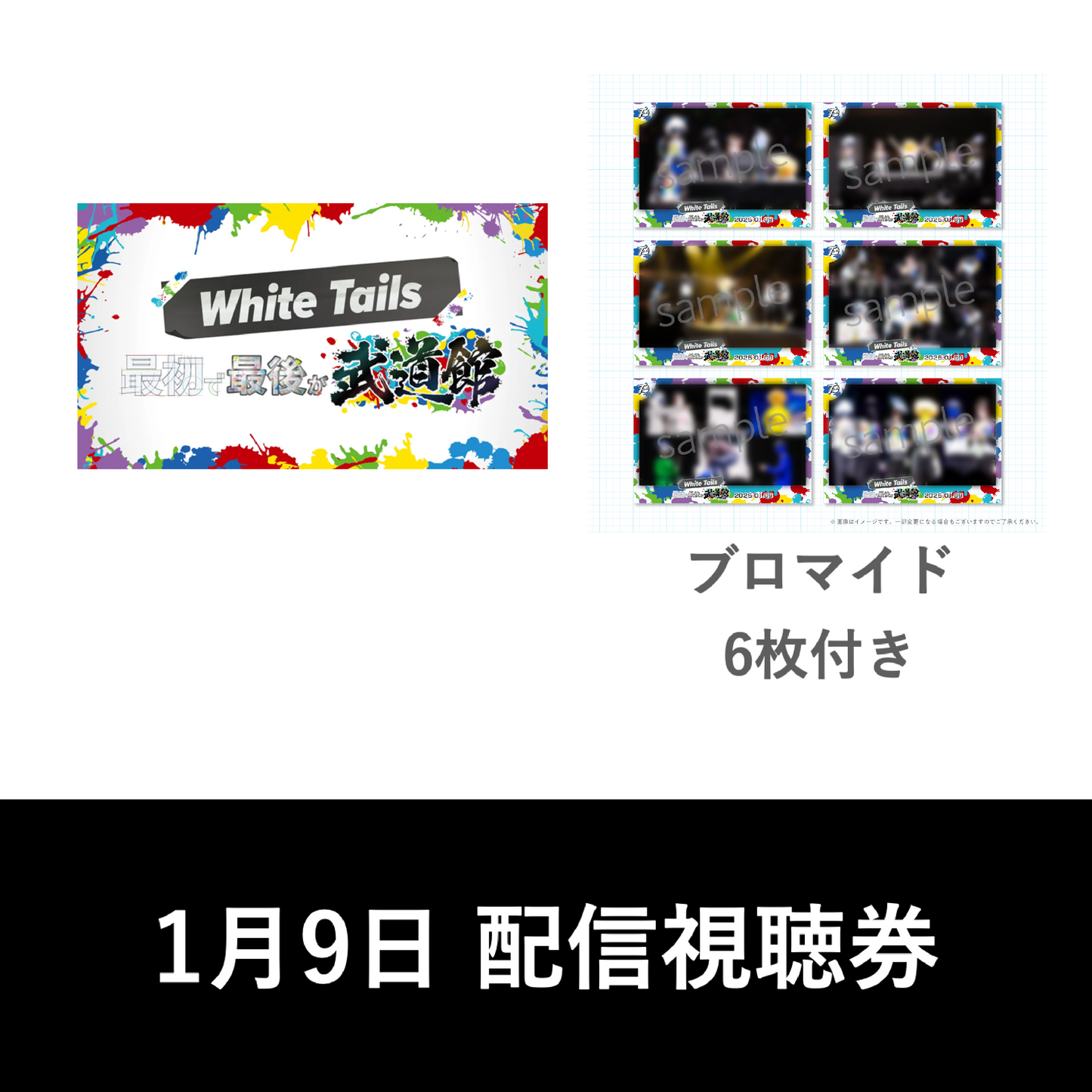 1月9日(木)「最初で最後が武道館」Lemino視聴券付きブロマイド6枚セット